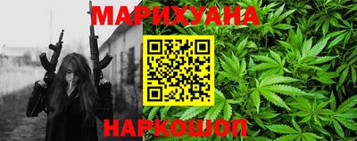 сатива Ставрополь