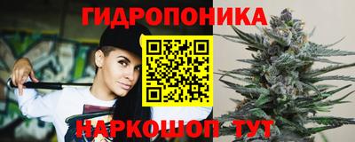 сатива Ставрополь