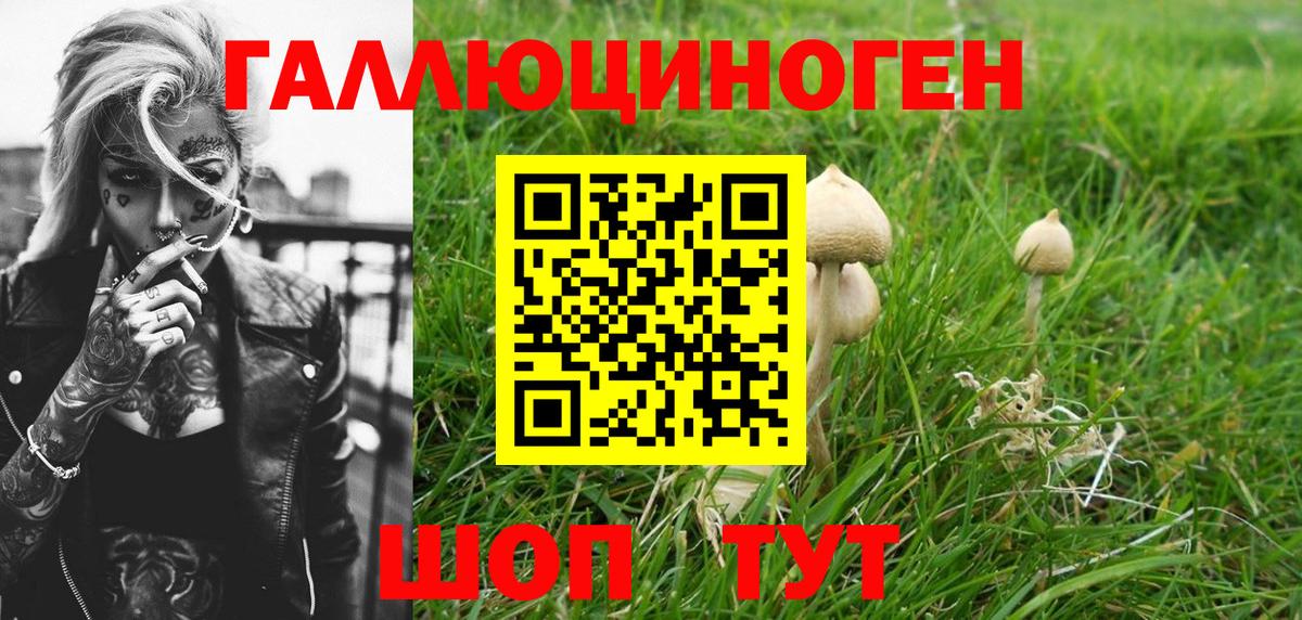 Галлюциногенные грибы GOLDEN TEACHER  Псилоцибиновые грибы мухоморы  Вход с VPN  Таганрог 